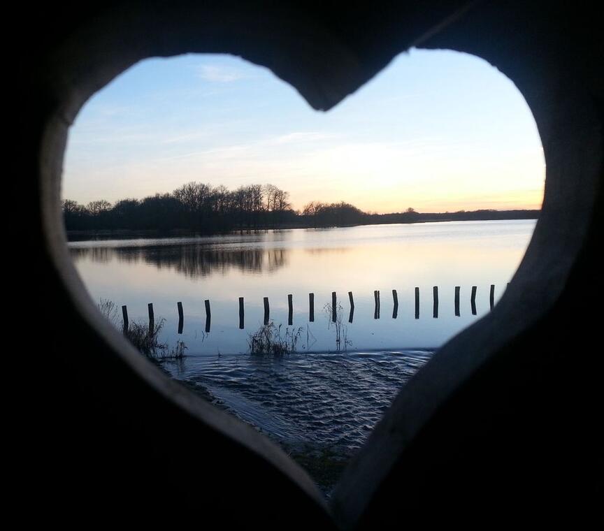 Réserve Naturelle Nationale de l'Etang des Landes_1