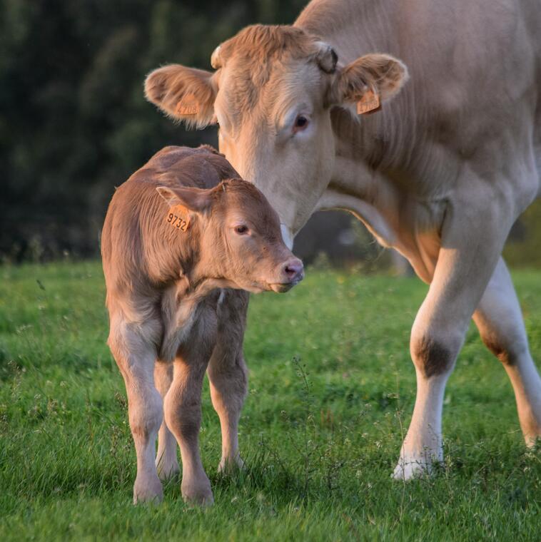 La ferme de Valérie_1