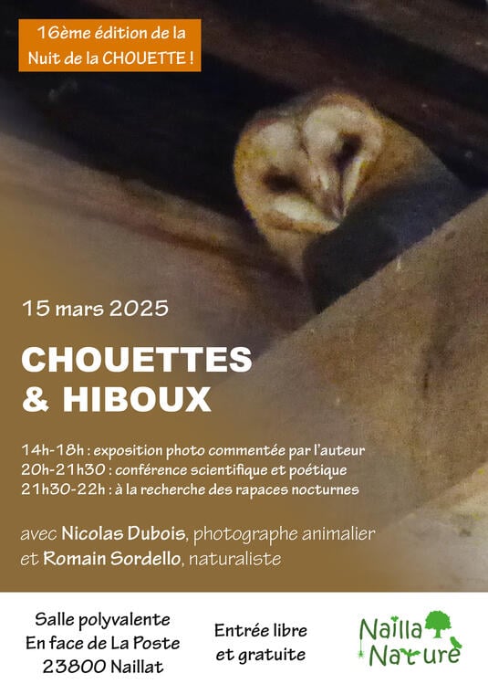 250315 - Nuit Chouette