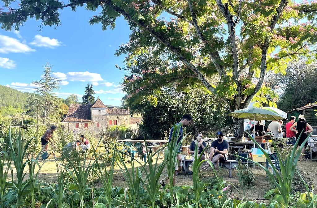 Atelier design du potager