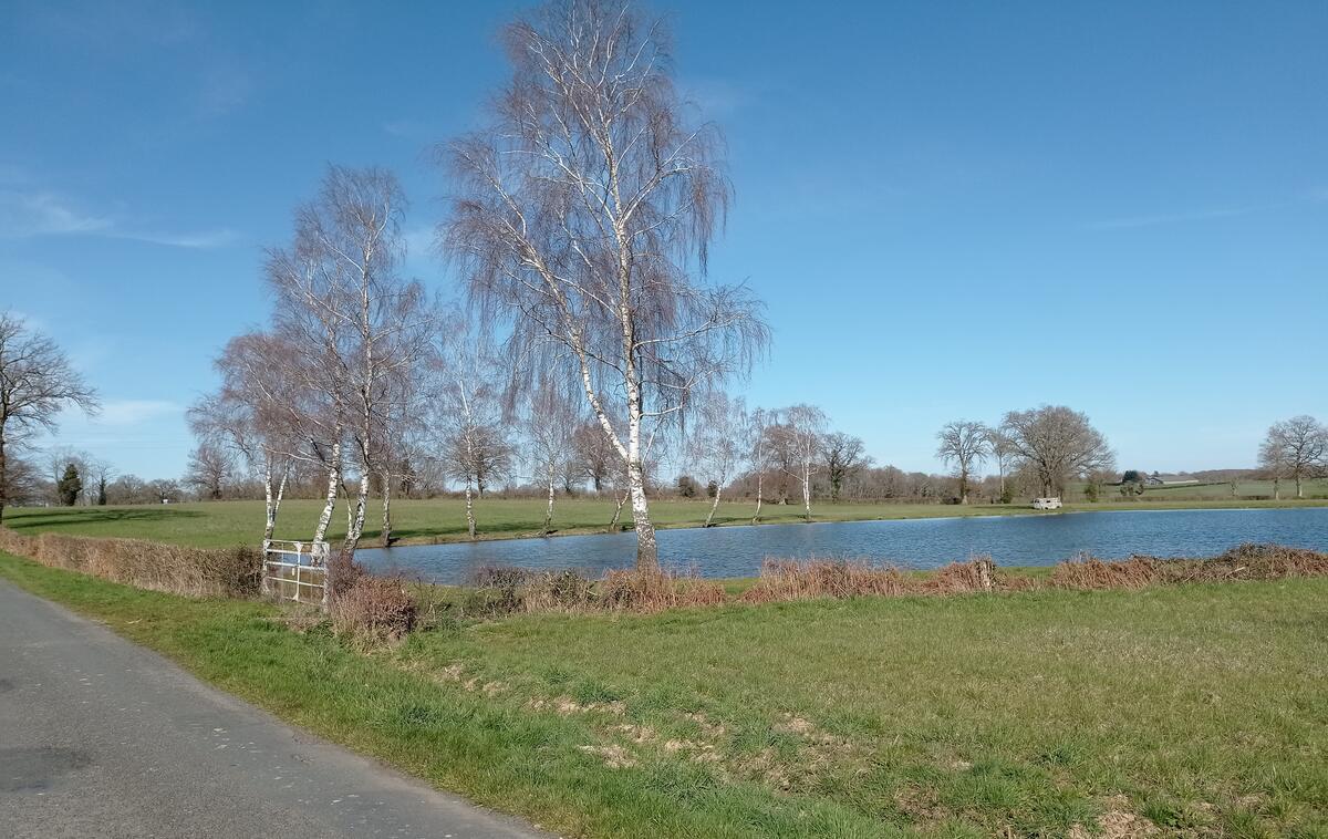 Etang Leyrat - circuit de longchamp