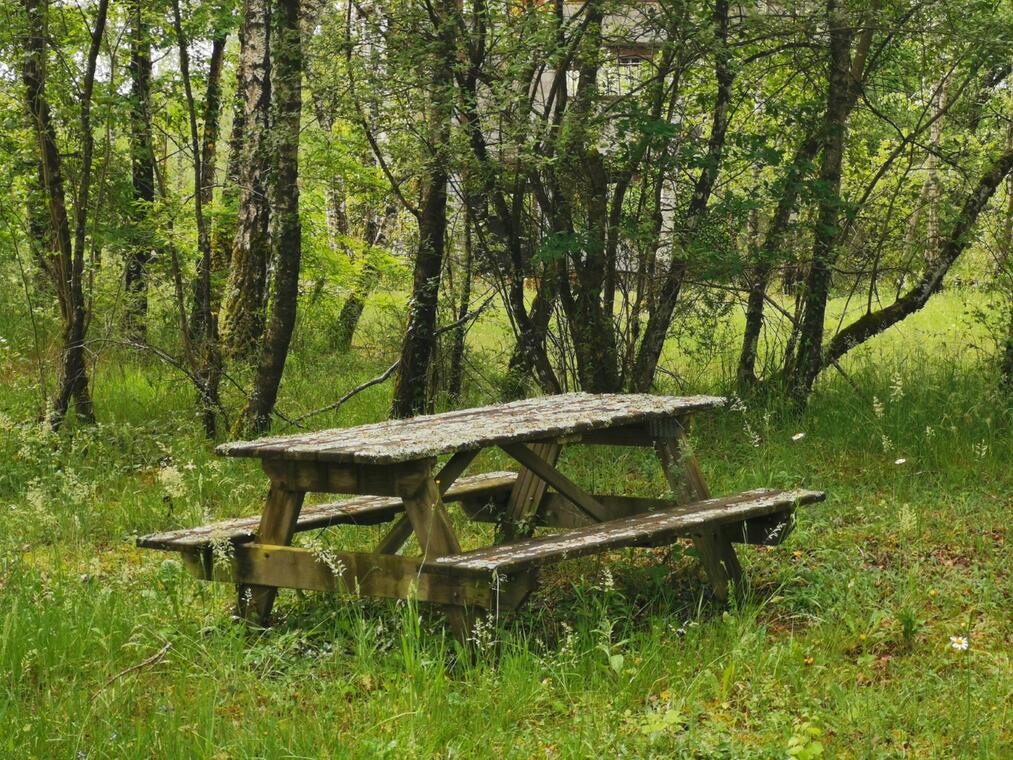 Aire de pique nique du site de la Lande