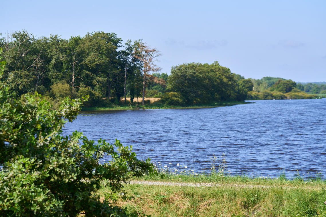 LUSSAT_Etang des Landes  (2)