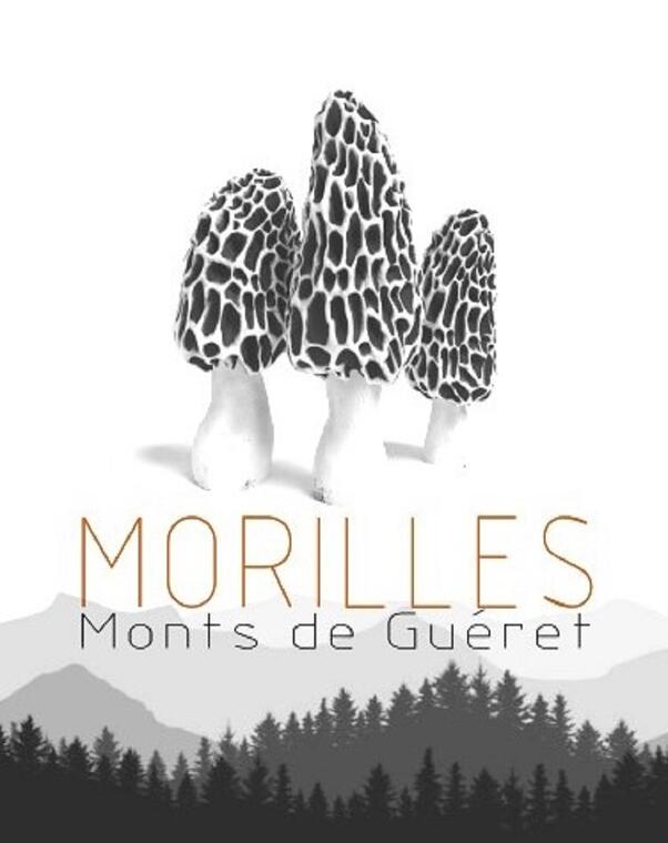 Morilles Monts de Guéret