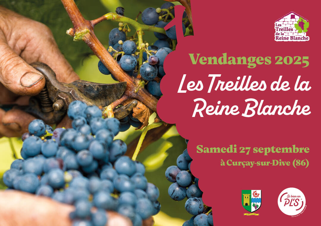 Vendanges Treilles_2025