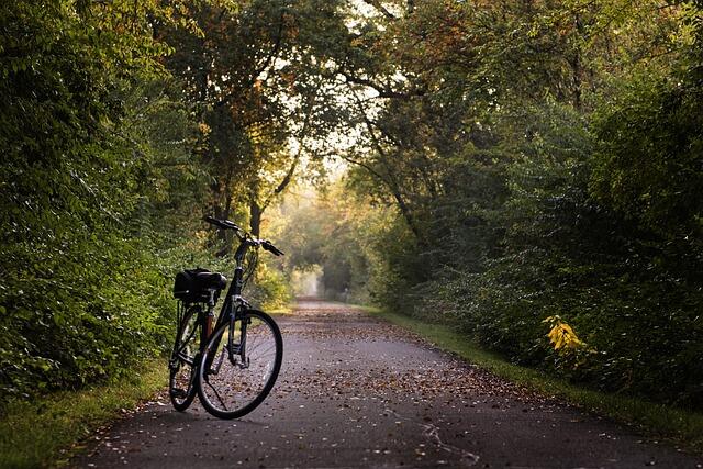 Vélo