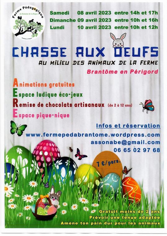 chasse aux oeufs