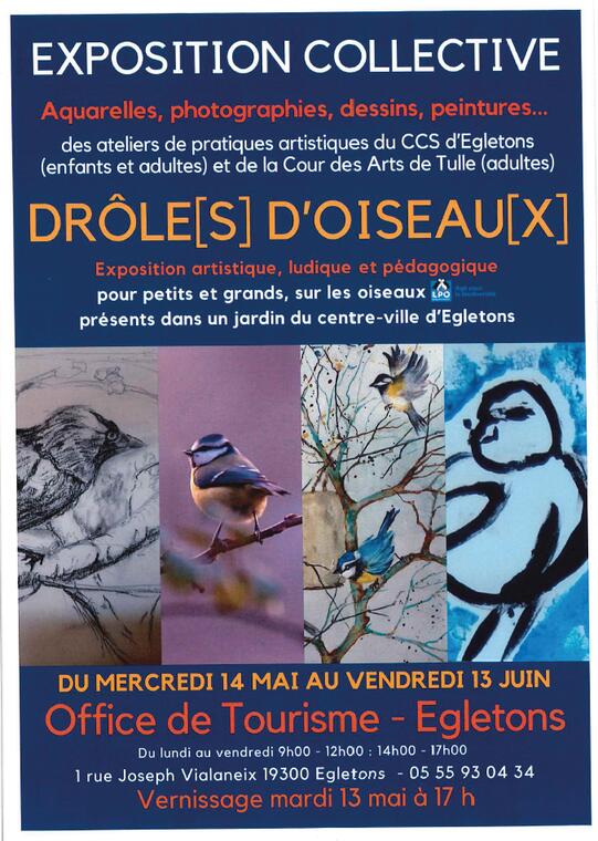 exposition oiseaux