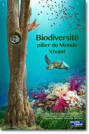 exposition-biodiversite