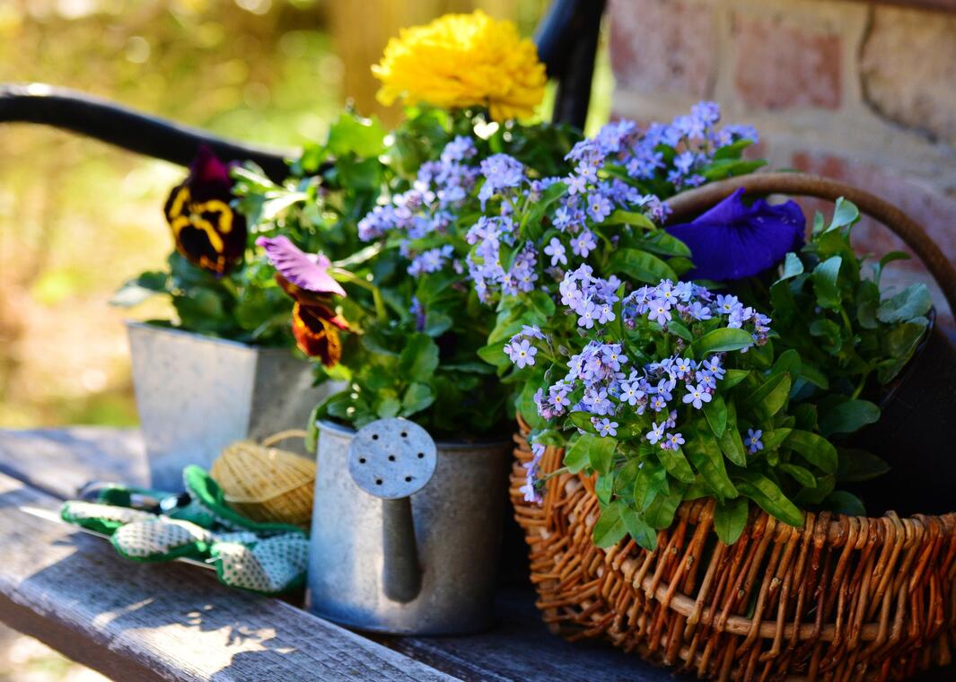 garden-gcbf1e3c85_1920