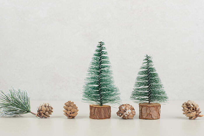 Mini Christmas trees and pinecones on beige background