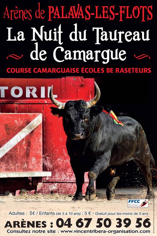 LA NUIT DU TAUREAU DE CAMARGUE
