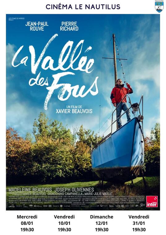 Affiche La vallée des fous