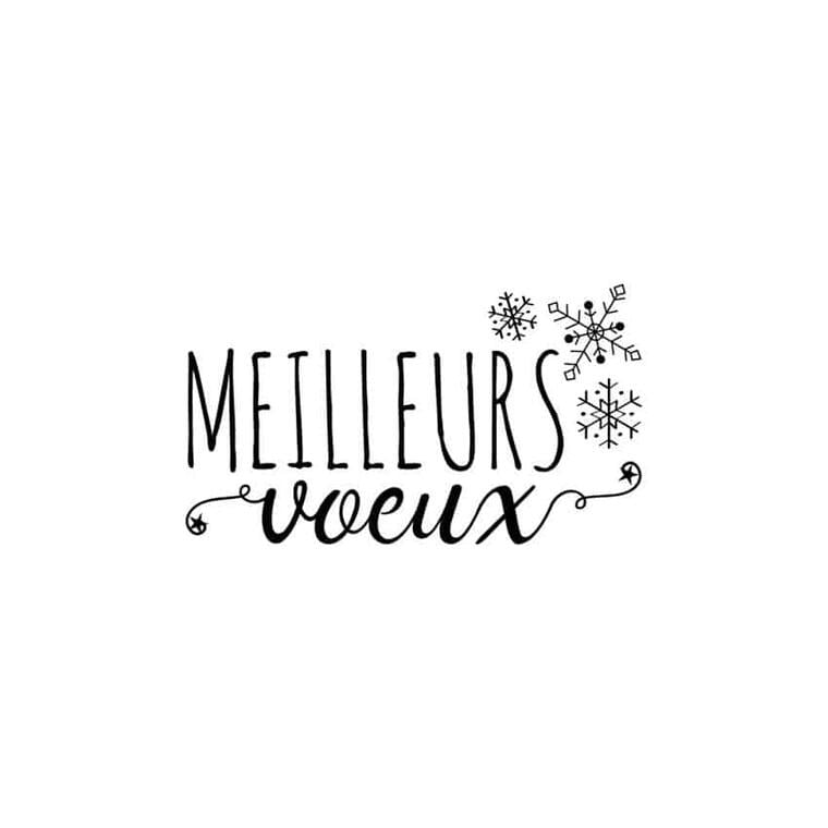 Meilleurs-voeux