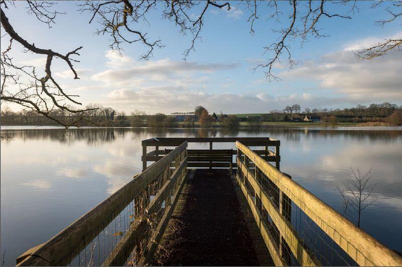 Etang de Marcillé-Robert