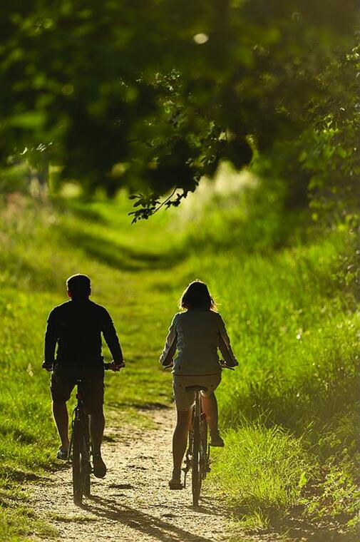 Vélo Promenade® n°2 La balade du meunier - Mellé