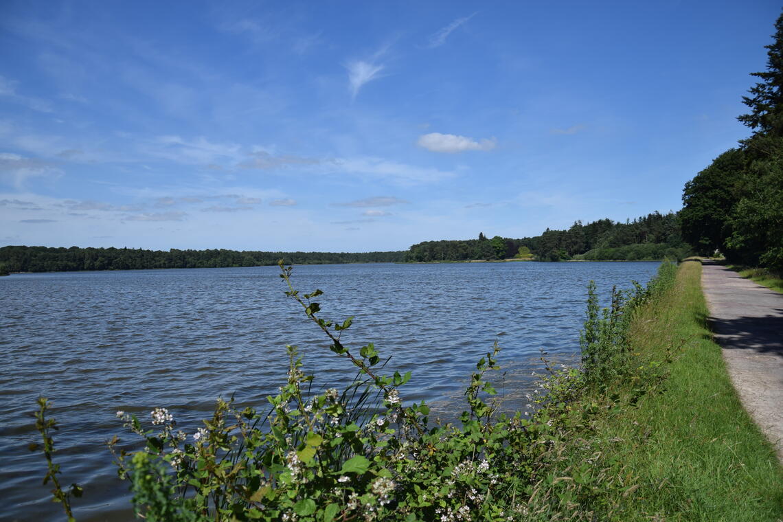 Etang du Pas du Houx