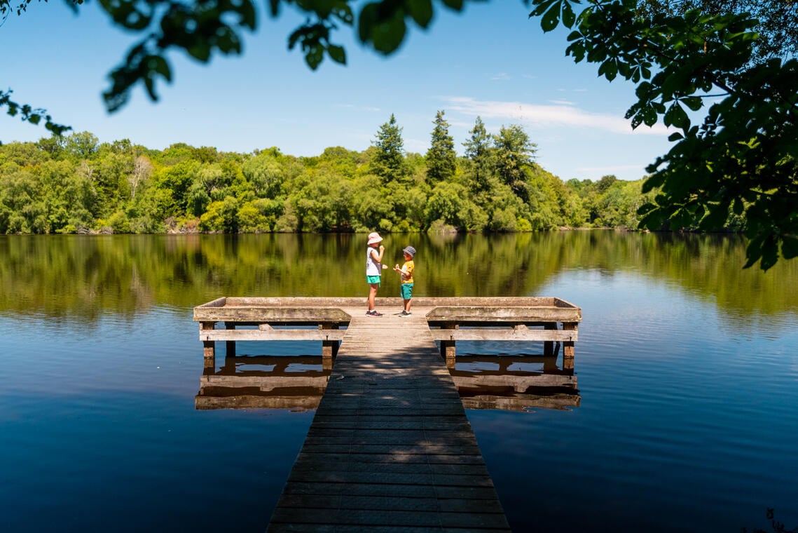 Forêt Corbière Ponton (5) ©Vitré Communauté - Mathieu Le Gall (2022)