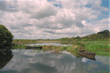 Marais de Gannedel - Y Rollo