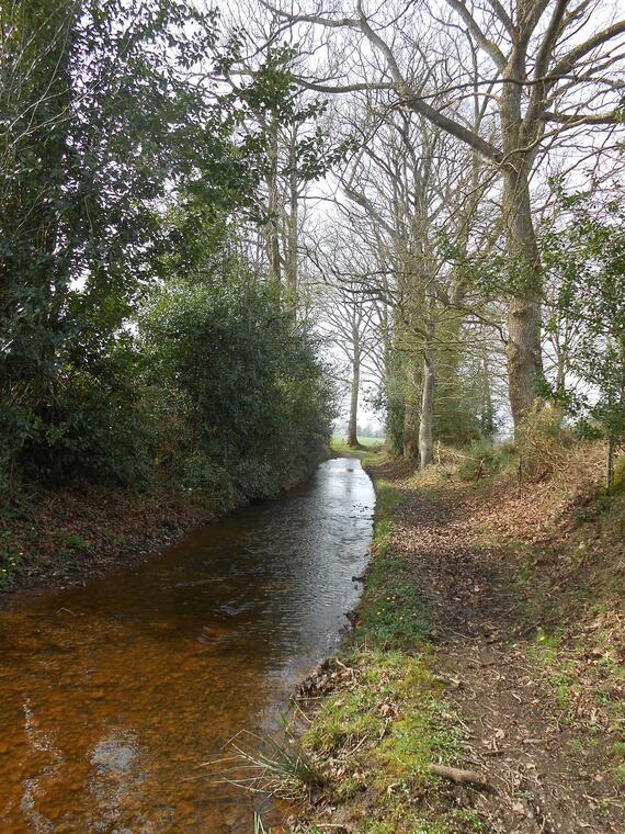 Le long de l'Ardenne