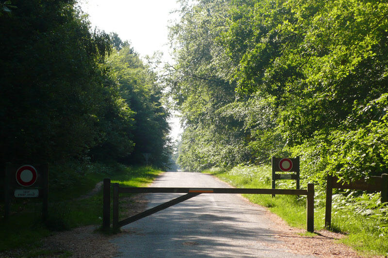 Forêt de Rennes