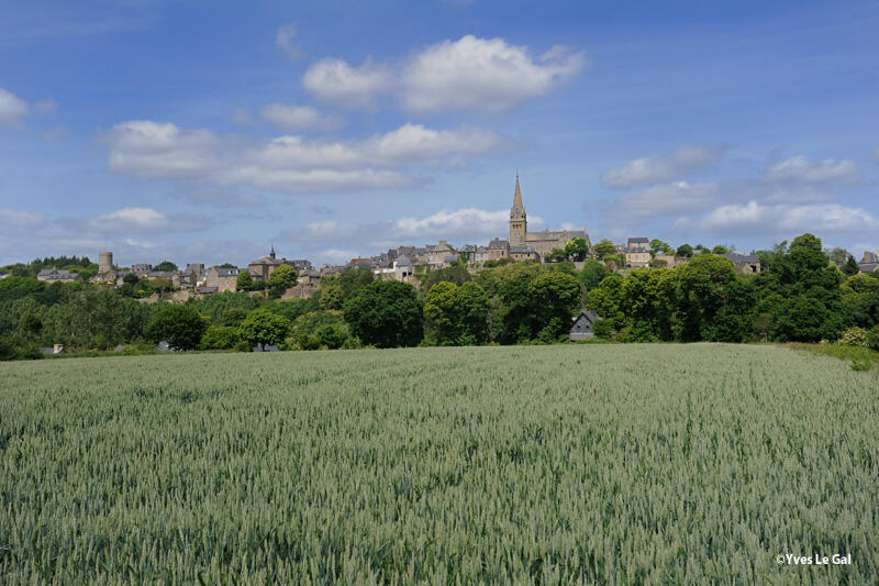 Panorama sur Bécherel