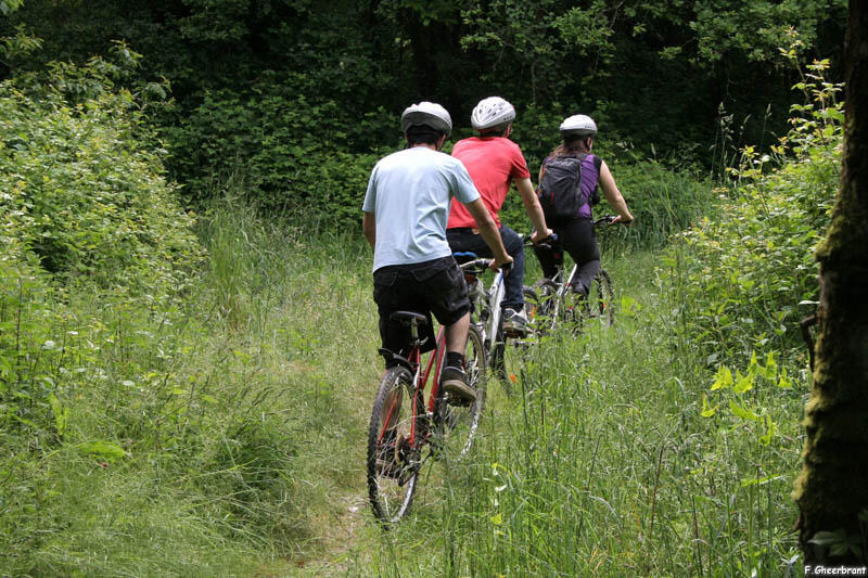 En VTT sur les chemins