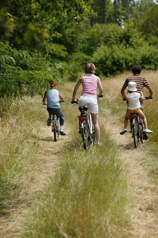 En vélo sur les chemins