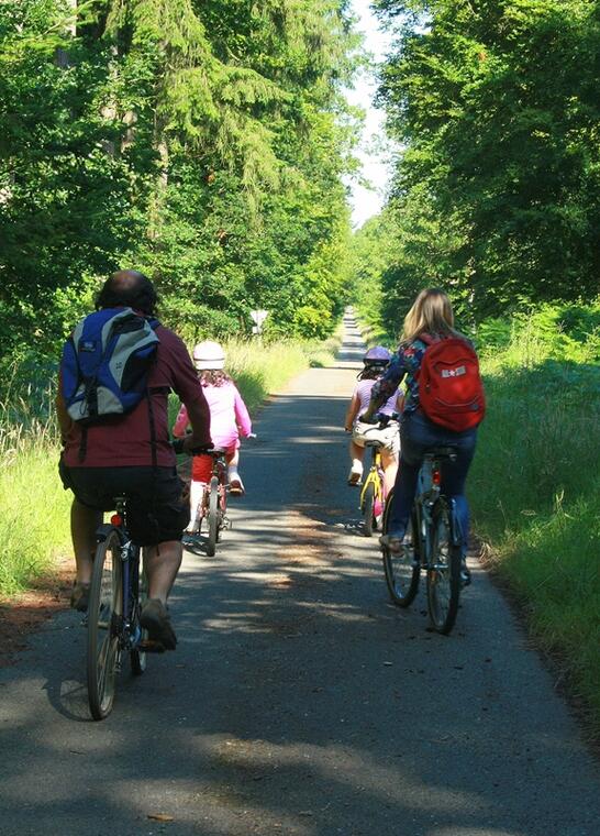 Vélo Promenade® n°5 Chemin des grands chênes