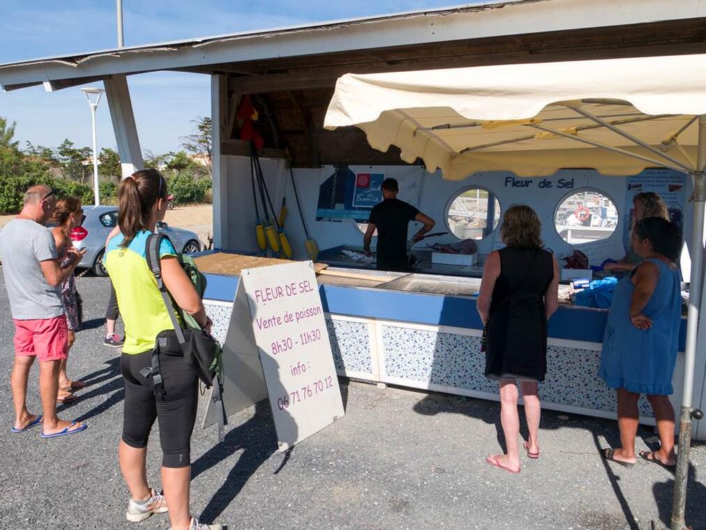 Pêche en mer - Vente de poissons Leucate