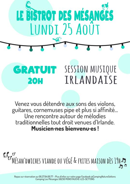 Session-musique-irlandaise