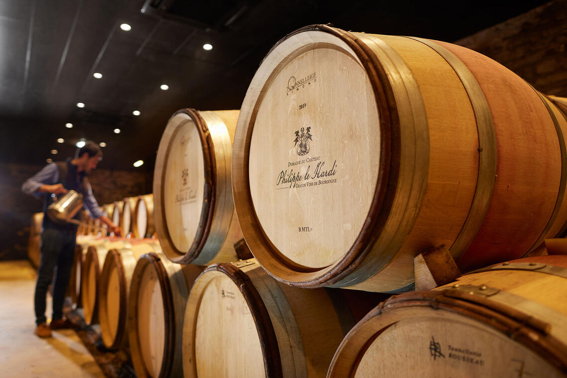 Visite de caves et dégustation de vins de Bourgogne