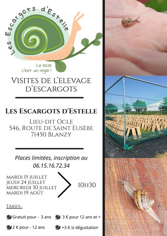 Affiche visites 2025 - 1