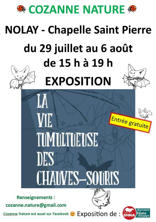 Affiche Expo Chauves-souris