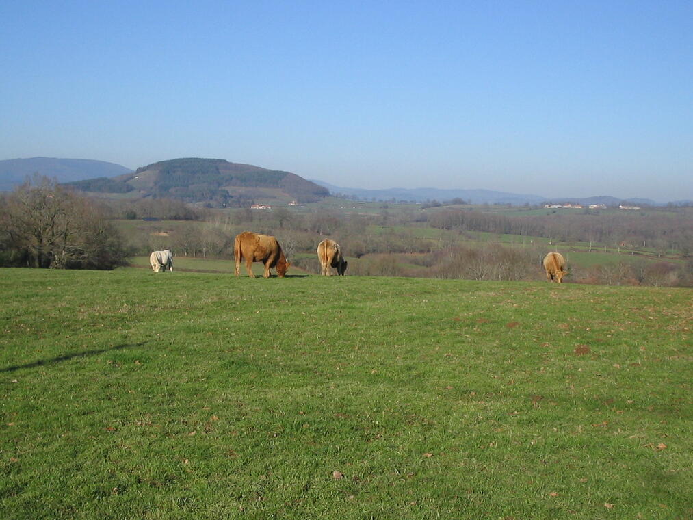 Mont Dône et campagne