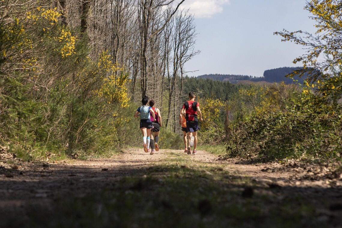 Morvan Trail