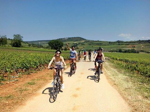 journée vélo et vin Bourgogne