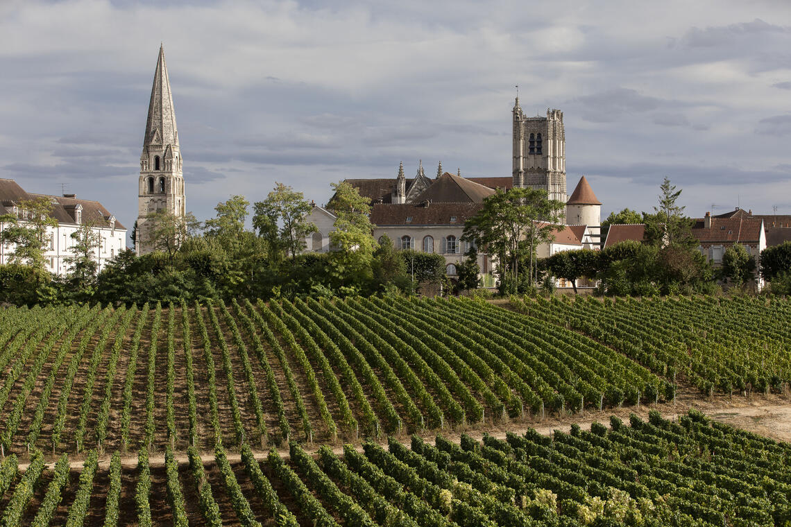 Le quartier vigneron