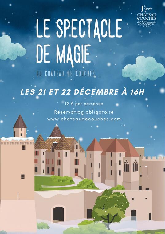 Affiche spectacle de magie