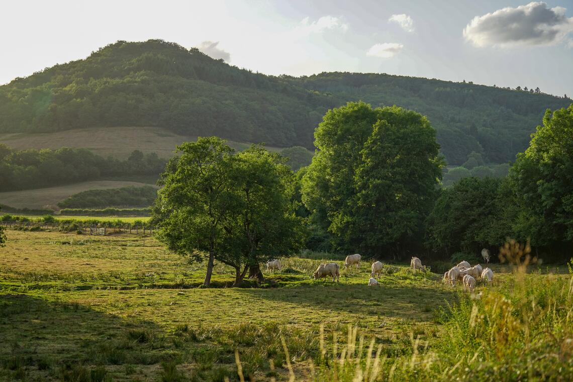 Photographies Office de tourisme du Grand Autunois Morvan © Aurélie Stapf, photographe