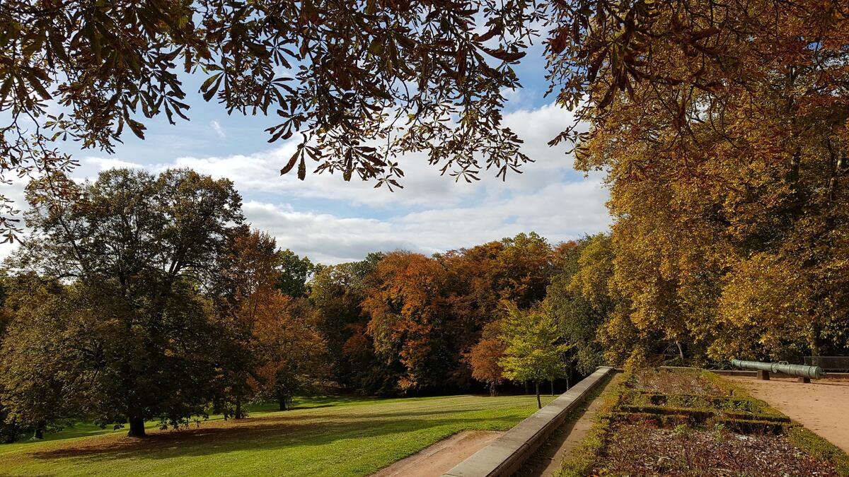 Le parc de la Verrerie à l'automne