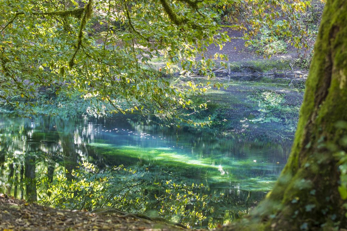 Photo Circuit patrimonial de la source du Planey