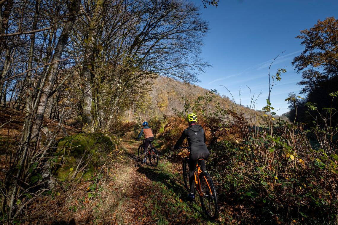 VTT-Activital-Lac des Settons-Morvan