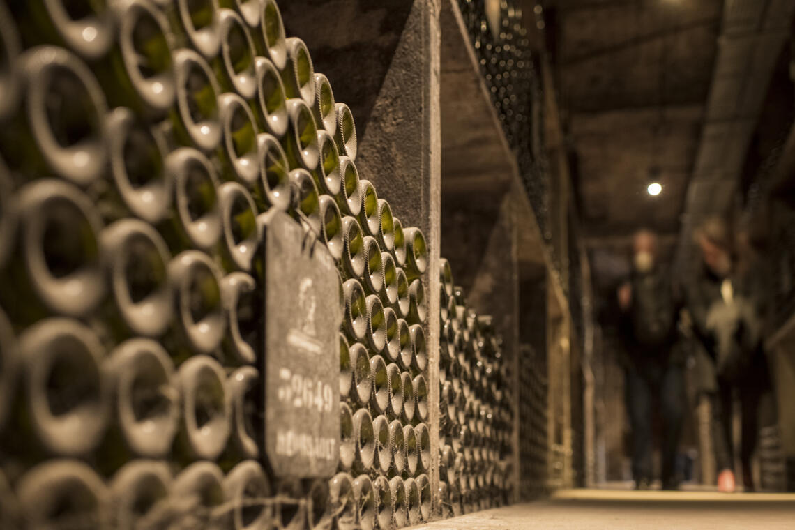 cavesBouchard2©MichelJoly