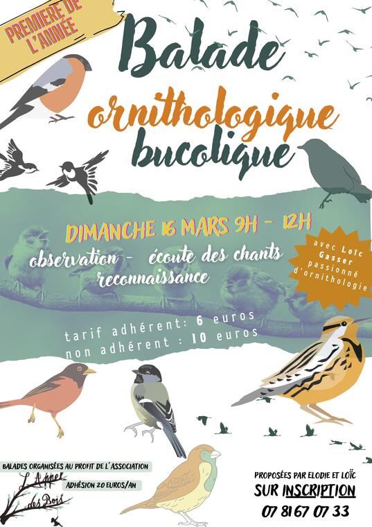 balade ornithologique