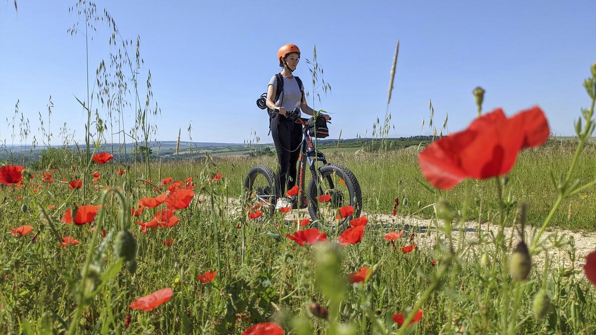 DANS LE VIGNOBLE DE SAINT BRIS