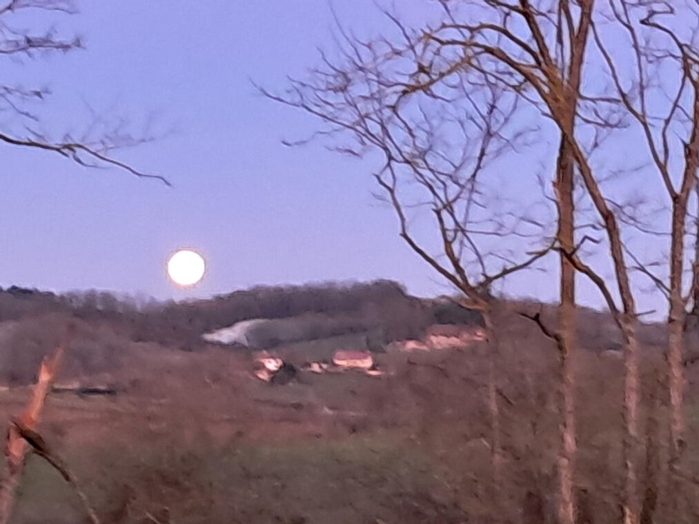 Vue de la bruyerette