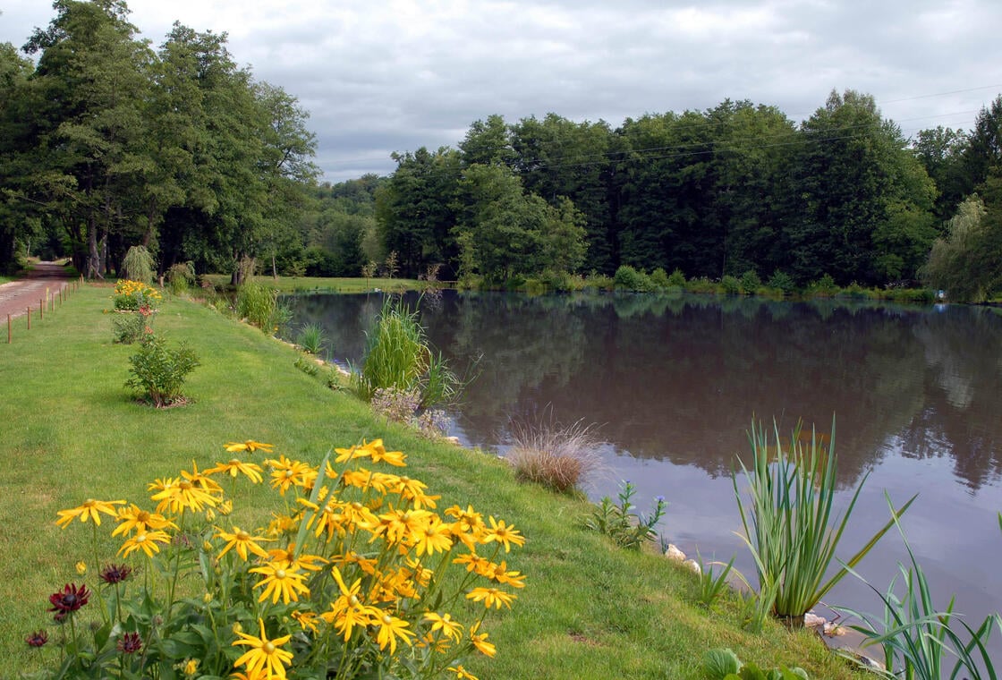 Sentier des étangs