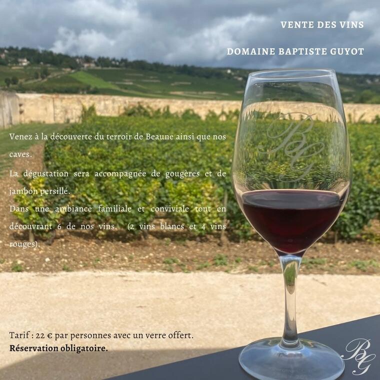 Domaine Baptiste GUYOT VDV 2023
