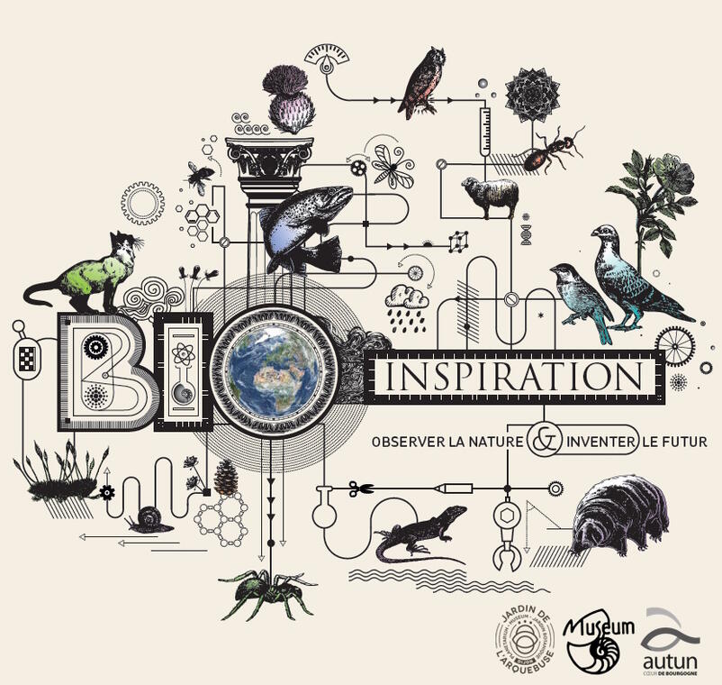 visuel expo tempo & atelier bioinspiration